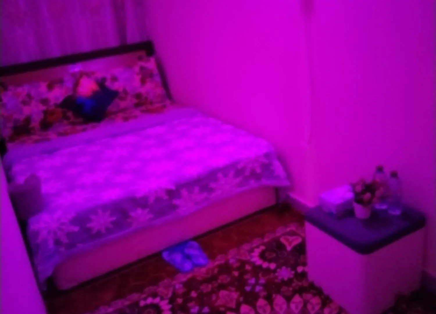 My Home Stay Apartment 2 Abu Dhabi 0*,  United Arab Emirates