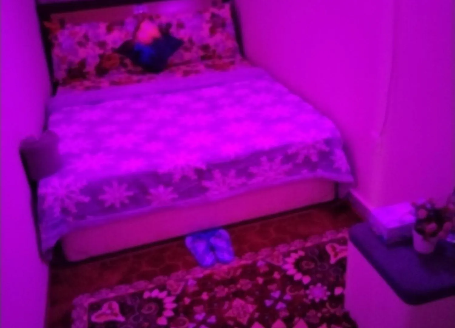 Homestay My Home Stay Apartment 2 Abu Dhabi