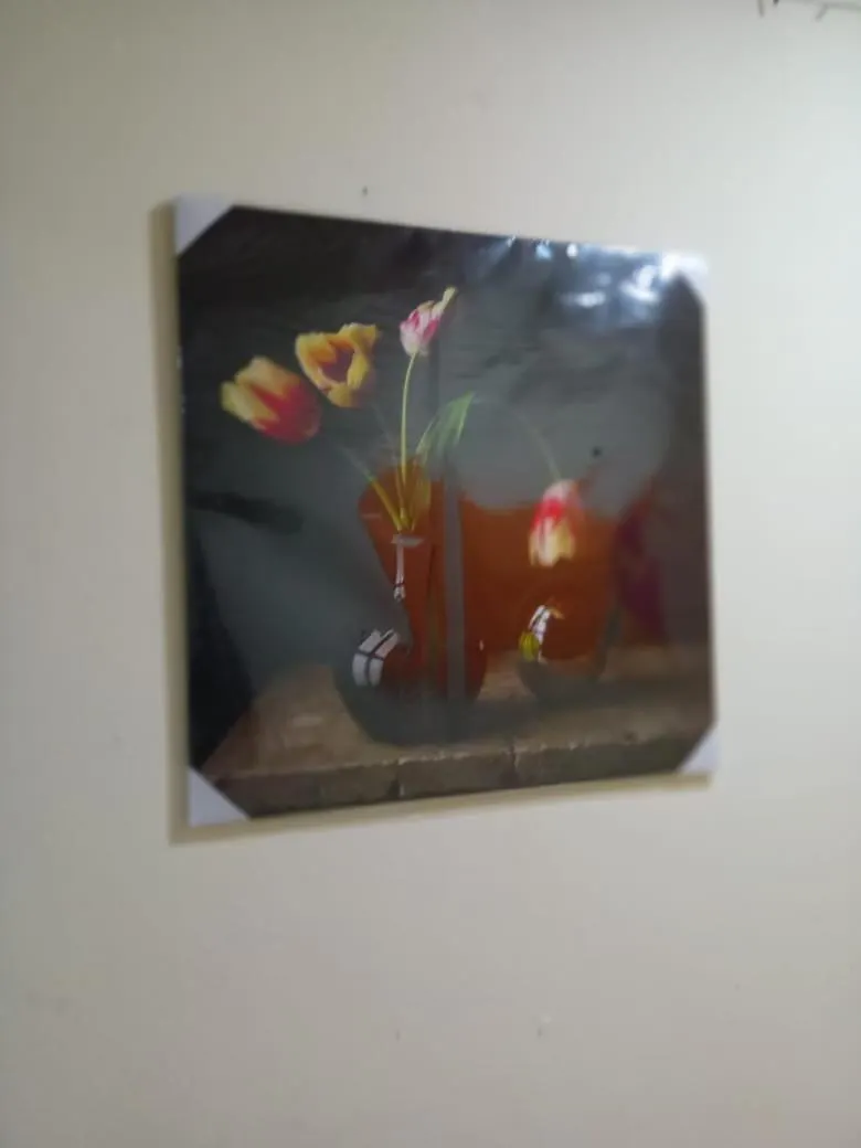 Homestay My Home Stay Apartment 2 Abu Dhabi United Arab Emirates